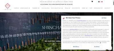 Frame at 4900 ms