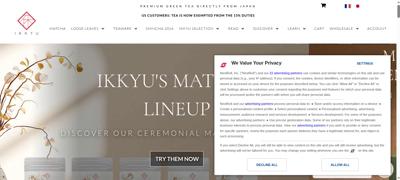 Frame at 13.300 s