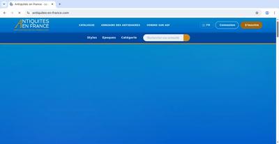 Frame at 500 ms